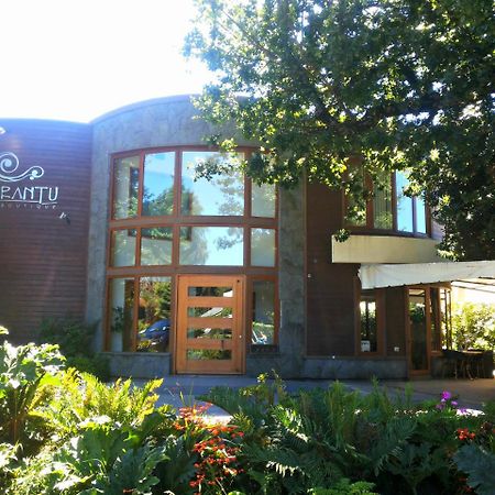 Cocurantu Hotel Boutique Pucón Eksteriør billede