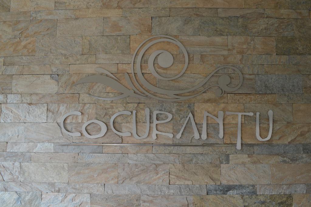 Cocurantu Hotel Boutique Pucón Eksteriør billede